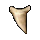 Shark Tooth